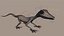 Lizard