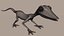 Lizard