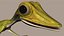 Lizard