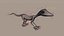Lizard
