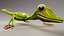 Lizard