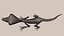 Lizard