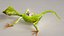 Lizard