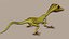 Lizard