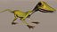 Lizard