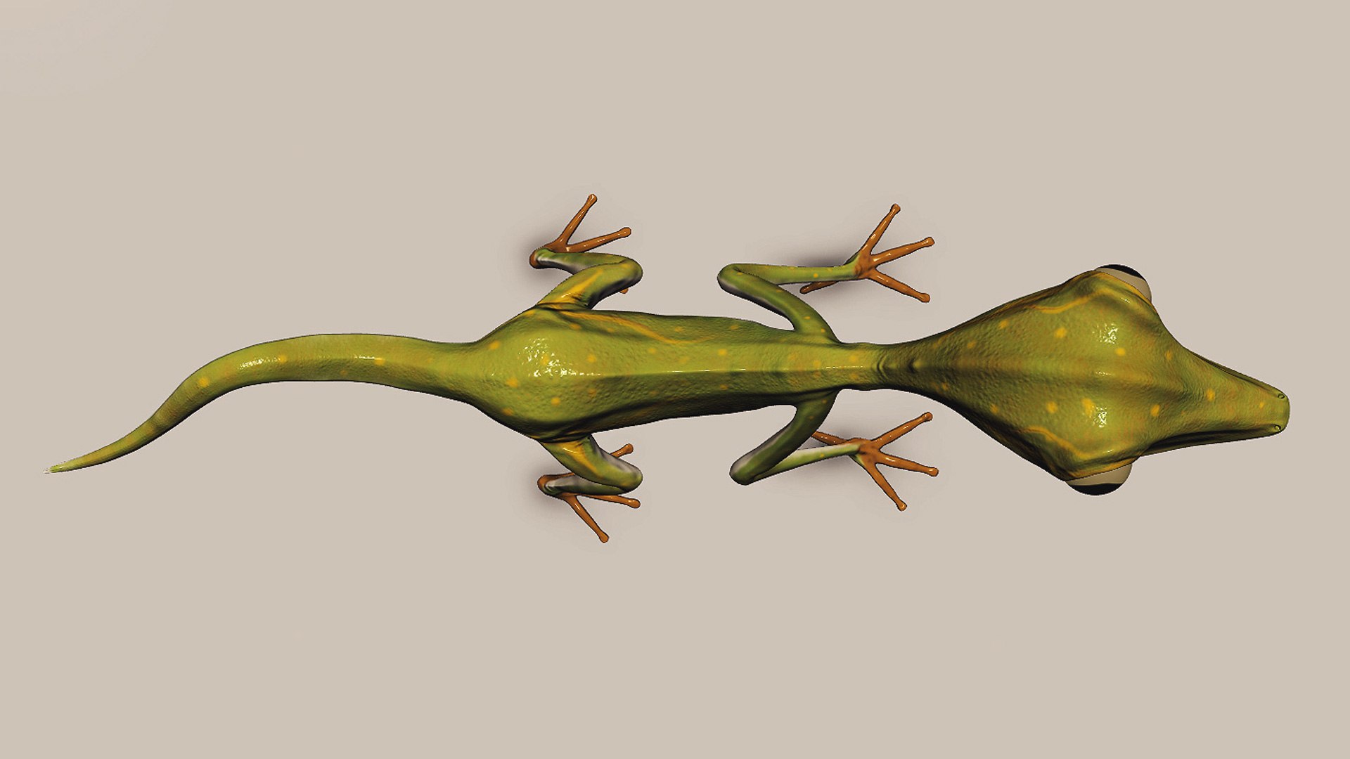 photorealistic gecko animate 3d obj https://p.turbosquid.com/ts-thumb/7W/fk0i0E/yeePvukG/07/jpg/1380763636/1920x1080/fit_q87/bb44a25b9511902fafbc3516b351642d4383e051/07.jpg