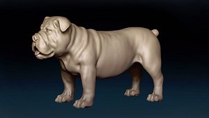 Bulldog Base Mesh 3D model 3D model