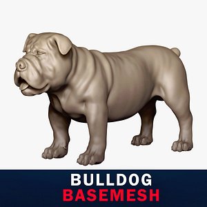 Bulldog Base Mesh 3D model 3D model