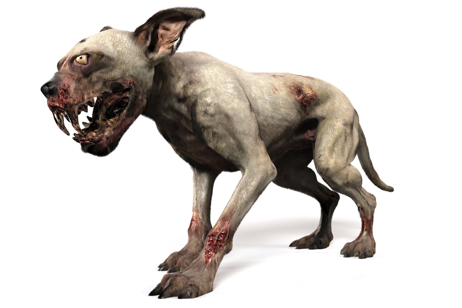 Old Furious Dog Pack 3D model https://p.turbosquid.com/ts-thumb/7W/fpTaXI/Ad/13/jpg/1734382080/1920x1080/fit_q87/bc76c3e0f3845c330b86c5ca8e524031b74df92d/13.jpg