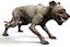 Old Furious Dog Pack