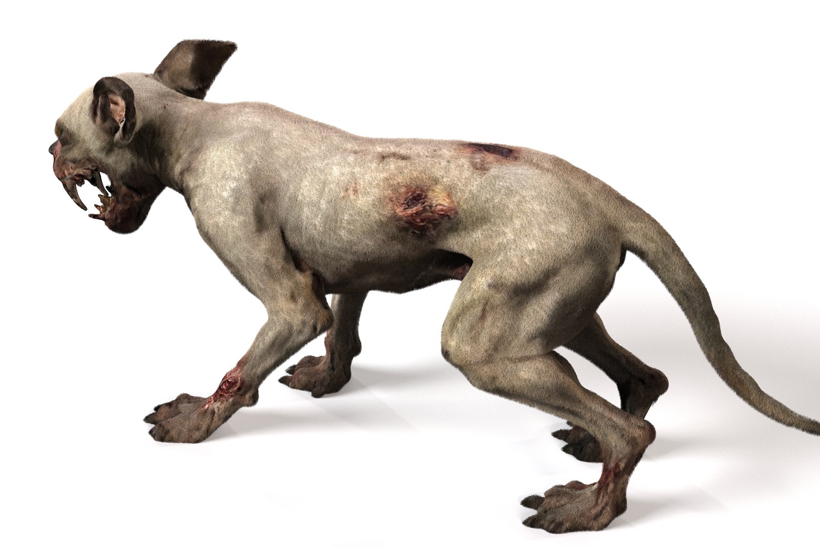 Old Furious Dog Pack 3D model https://p.turbosquid.com/ts-thumb/7W/fpTaXI/Tq/15/jpg/1734382084/1920x1080/fit_q87/f05865fe0910735d233e0443143cd9857568f926/15.jpg