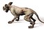 Old Furious Dog Pack