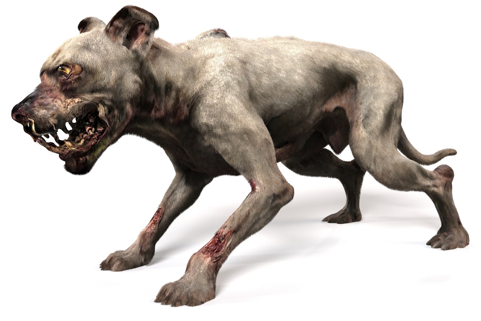 Old Furious Dog Pack 3D model https://p.turbosquid.com/ts-thumb/7W/fpTaXI/mr/10/jpg/1734382076/1920x1080/fit_q87/57612e2dd8e43e383e85488c2e93d78c6152194a/10.jpg