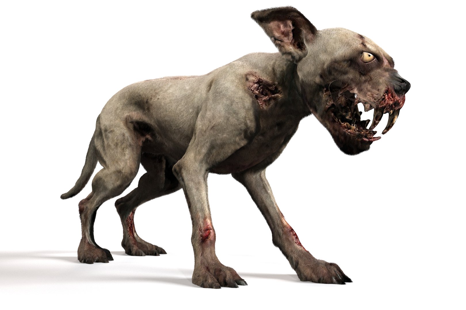 Old Furious Dog Pack 3D model https://p.turbosquid.com/ts-thumb/7W/fpTaXI/rk/14/jpg/1734382082/1920x1080/fit_q87/0e21976cde880f69c2efe150c8ecd4ead8454691/14.jpg