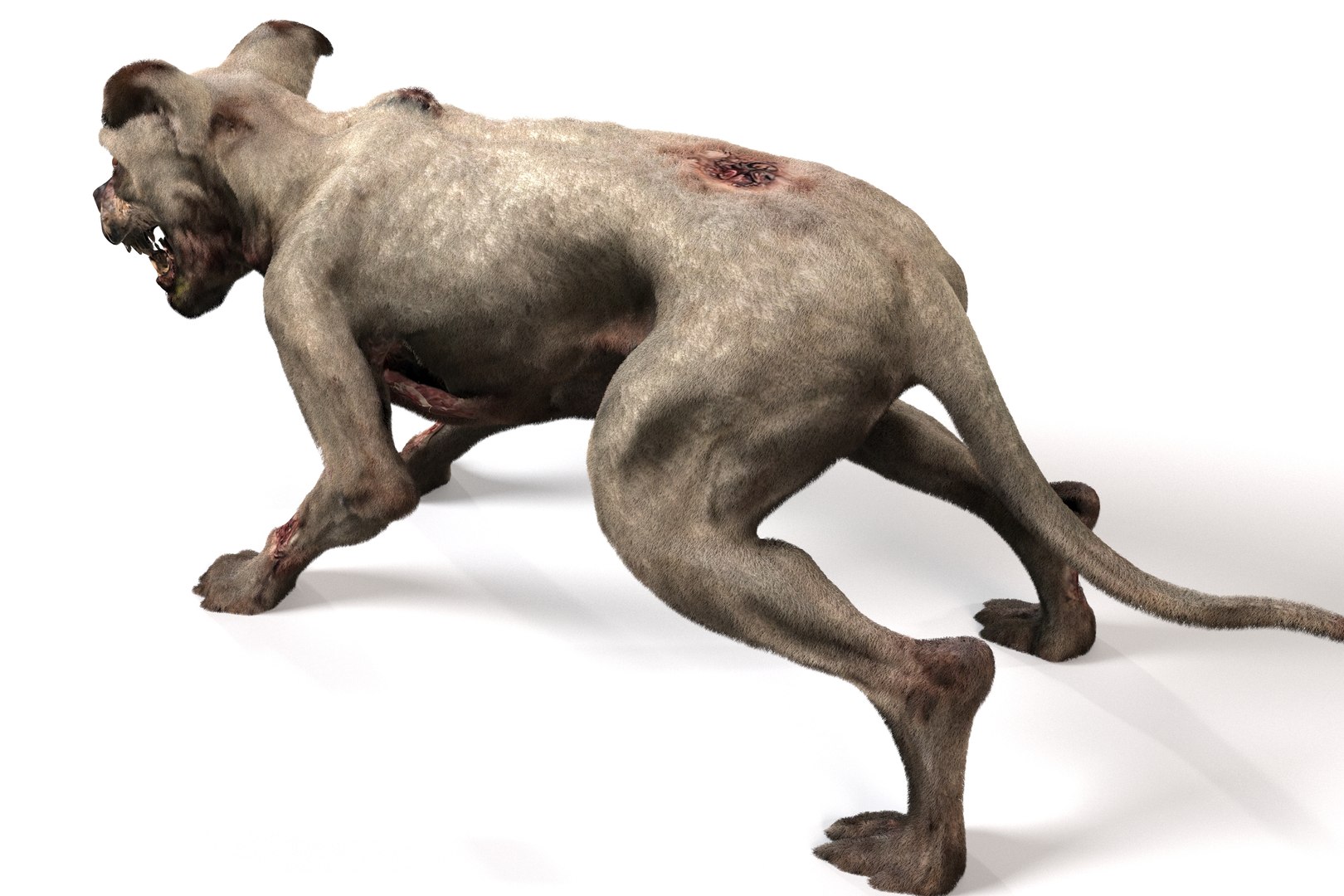 Old Furious Dog Pack 3D model https://p.turbosquid.com/ts-thumb/7W/fpTaXI/vD/12/jpg/1734382078/1920x1080/fit_q87/410940fae36c12d66cf81af7fccfd012283919f8/12.jpg