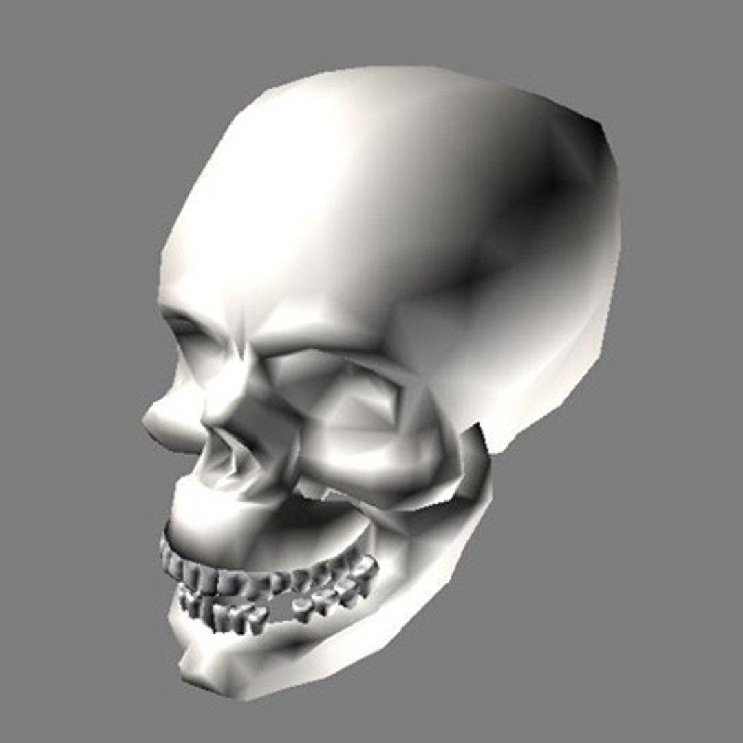 free skull 3d model https://p.turbosquid.com/ts-thumb/7W/lDU7QR/kV8DTydW/capture_07132005_182948/jpg/1121272335/1920x1080/fit_q87/05f6b3724173213f76dc1deef28d8da08e87adf0/capture_07132005_182948.jpg