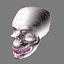 free skull 3d model