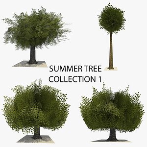 3d model 4 trees summer version