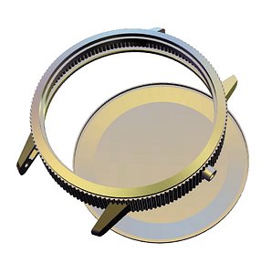Watchcase