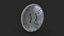 Middle Eastern shield