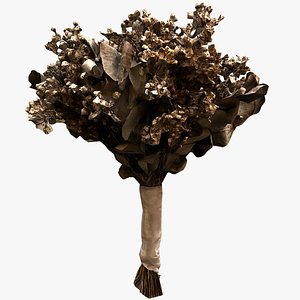 Wedding Bouquet Dried Flowers Bride 3D model