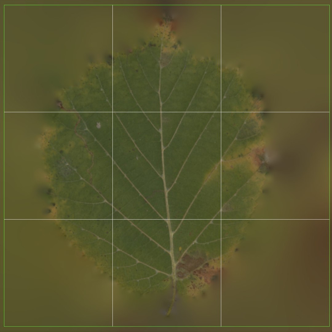 Young Tree - PBR Textures 3D - TurboSquid 1880635