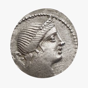 roman coin silver model