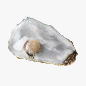 3D Top Half Oyster 02