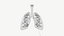 anatomy organ lungs model