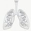Respiratory System