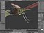 Insectride