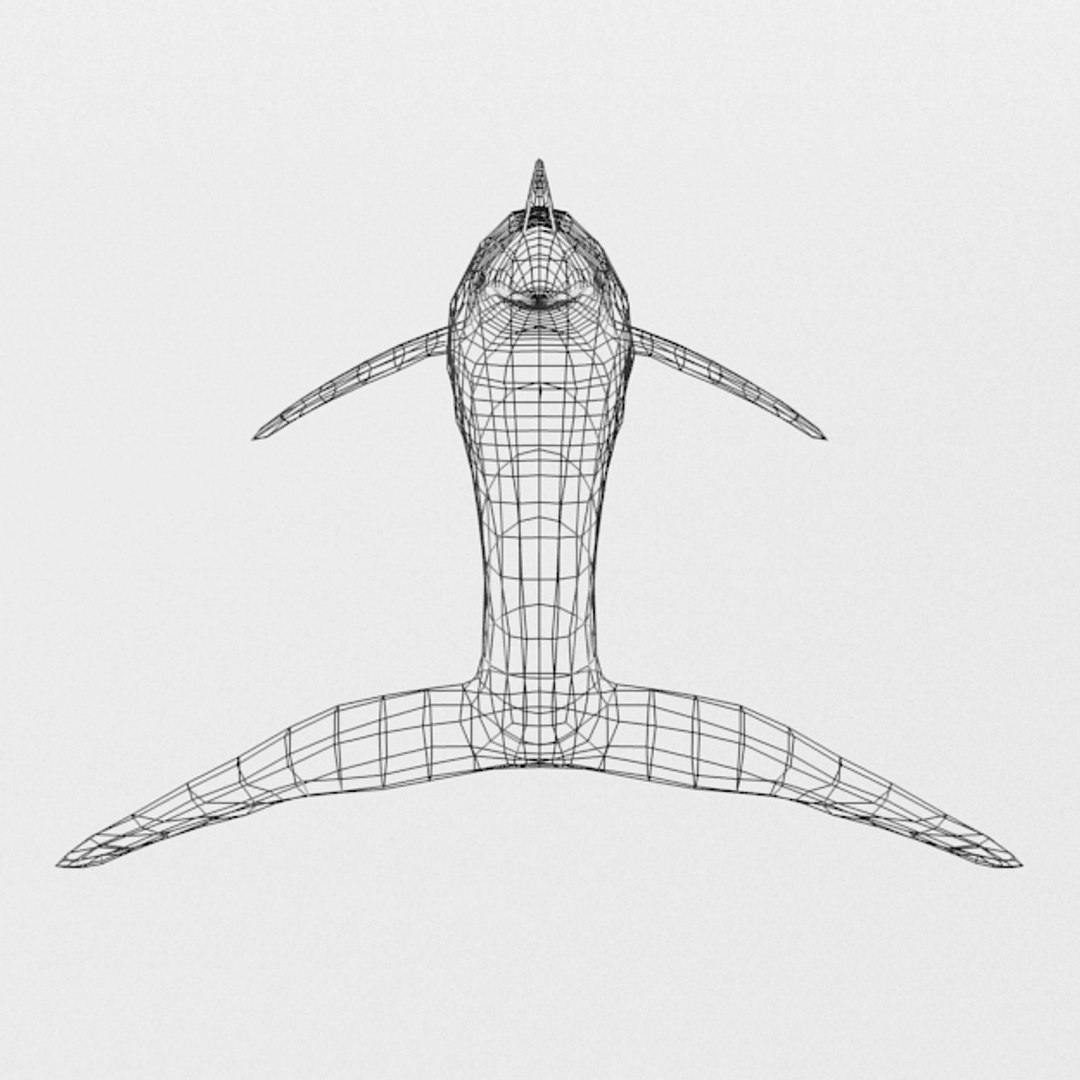 dolphin listed 3D https://p.turbosquid.com/ts-thumb/7X/gW44yl/4tIIdXq2/dolphinlisted_wire_realistic_back/jpg/1554564723/1920x1080/fit_q87/f9e9db1ee7b4ec6450b4ee1612e879326a9180f9/dolphinlisted_wire_realistic_back.jpg
