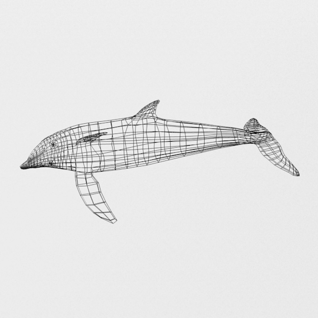 dolphin listed 3D https://p.turbosquid.com/ts-thumb/7X/gW44yl/BNRRRVlm/dolphinlisted_wire_realistic_side/jpg/1554564723/1920x1080/fit_q87/a4bb66c9abc7880899b5b17fe5384e8f704add9a/dolphinlisted_wire_realistic_side.jpg