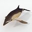 Dolphin Listed