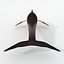 Dolphin Listed
