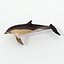 Dolphin Listed