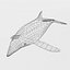 Dolphin Listed