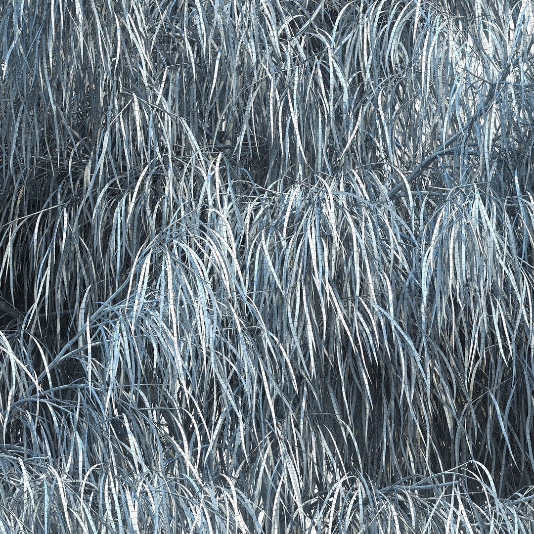3D australian willow https://p.turbosquid.com/ts-thumb/7X/mMjfAe/Pg5EEiUS/australianwillow_05/jpg/1498916858/1920x1080/fit_q87/1e977281bb0d6d46d97e53a2715f46315a7e52c9/australianwillow_05.jpg