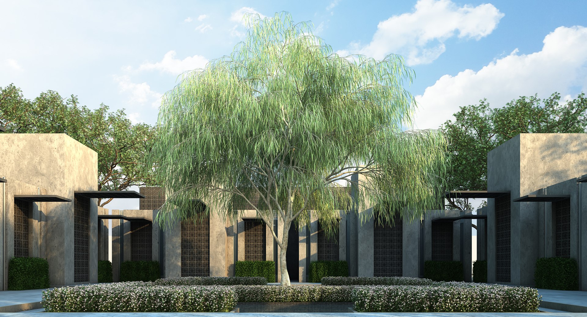 3D australian willow https://p.turbosquid.com/ts-thumb/7X/mMjfAe/kBH8CU2J/australianwillow_0000/jpg/1498916858/1920x1080/fit_q87/68469288d2a21fa4092ca50bb07d0bae4e64871c/australianwillow_0000.jpg