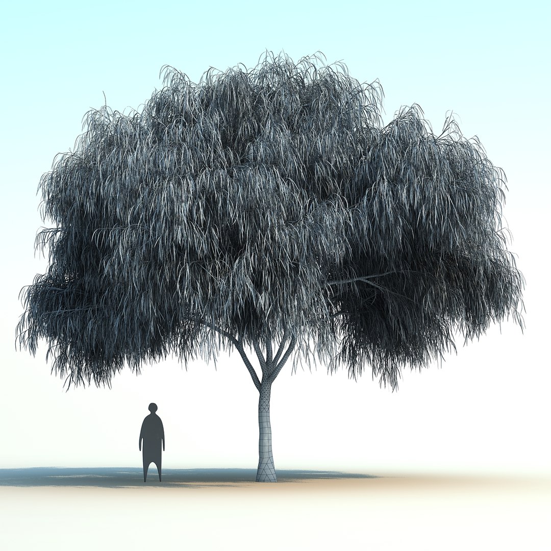 3D australian willow https://p.turbosquid.com/ts-thumb/7X/mMjfAe/lBQHHa9y/australianwillow_06/jpg/1498916858/1920x1080/fit_q87/145ce41814e562bb83a129ed078ac8990de1281d/australianwillow_06.jpg