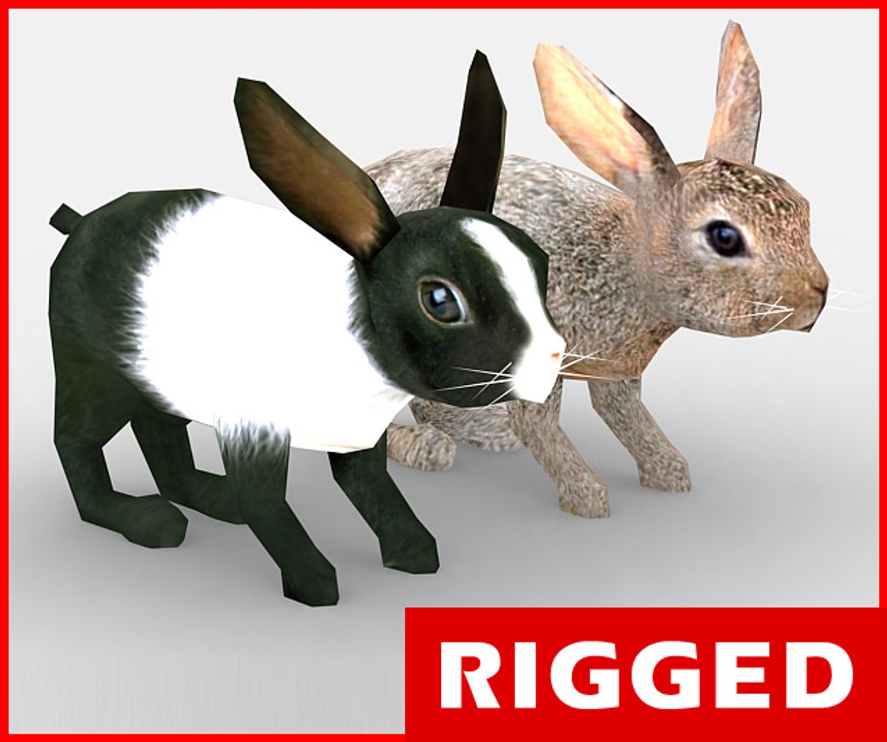 3d Rigged Rabbit Model