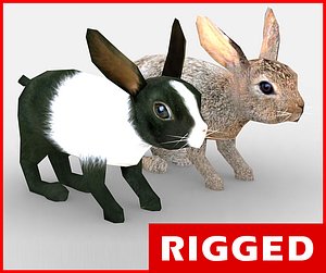 3d rigged rabbit model