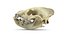 Hyena skull