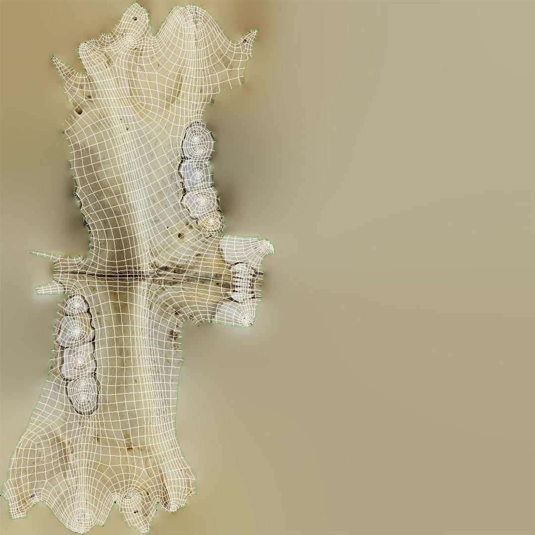 3d model hyena skull animations https://p.turbosquid.com/ts-thumb/7X/wOpUd0/IECgMgKw/uv1/jpg/1435655860/1920x1080/fit_q87/415915117a75494a98e11619fa2d3e58e560da1b/uv1.jpg