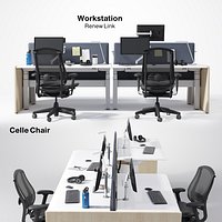 Renew Link Workstation & Celle Chair