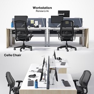 Renew Link Workstation & Celle Chair