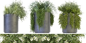 3D model Collection plant vol 232 - blender model
