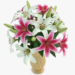 Lily Colorful