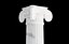 Round and rectangular ionic columns