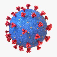 Coronavirus COVID 19